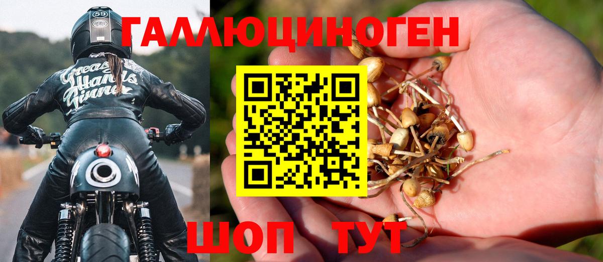 как найти   Галлюциногенные грибы MAGIC MUSHROOMS  Псилоцибиновые грибы Psilocybine cubensis  Вход с VPN  Череповец 